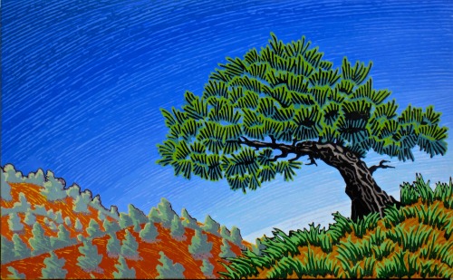 daniel boone national forest windswept conifer 20x32.5  2.png